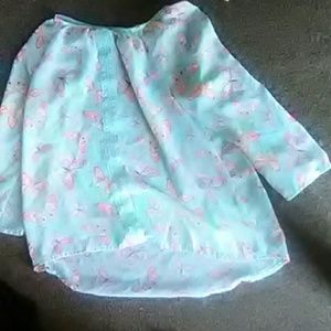 The butterfly effect